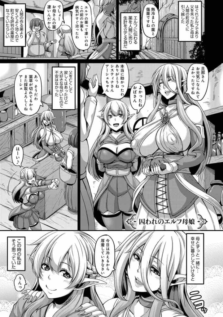 愛嬢の淫辱エルフのエロ漫画_4